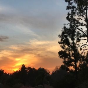 Meet your Posher, Moises